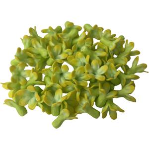 50 PCS Hand - Painted Yellow Green Pakalana 02 Clay Beads for Jewelry Making DIY Craft Supplies