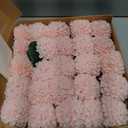 Ling's moment Blush Dahlia Foam Artificial Flowers Real Touch Faux Fake Flower for Home Decor Graduation Baby Shower Decorations Outdoors Party Favors Wedding Gifts Centerpieces Arrangements 25pcs
