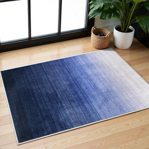 Lahome Modern Ombre Rugs for Entryway, 2x3 Rug Soft Small Kitchen Rugs Non Slip Washable Area Rug Ultra-Thin Door Mat Indoor Entrance Gradient Throw Carpet for Bedroom2'x3',Blue/White