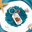 Aunt Auntie Gift Ideas Best Aunt Ever Gifts Aunts Christmas Gifts Aunts Christmas Gift Auntie Keychain