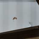 WOPITUES Storage Drawer Cart, Mobile Storage Cabinet, Makeup Storage with 10 Large Clear Drawers, Utility Wooden Rolling Cart on Wheels, for Cosmetic, Art Craft, Office Supplies, Toy, White