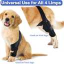 Dog Knee Brace for Torn ACL Hind Leg, Adjustable Front Back Leg Support Vet-Recommended Dog Joint Protection Arthritis Pain Relief Recovery Brace for Small Medium Large Dogs