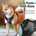 BARKBAY Dog Harness No Pull for Small Dogs - Adjustable, Reflective, Comfortable, No Choke, Heavy-Duty - Perfect for Outdoor Training, Walking, and Hiking - Strong & Durable -  Dark Grey, Small 