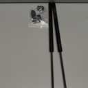 C16-06874 17 Inch 40 Lbs Gas Strut, 2 PCS C16-09450 Gas Shocks, 17" Gas Spring Lift Support for A.R.E Leer Truck Camper Shell Window Cap Canopy Topper Replacement