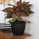 The HC Companies Sevilla Flower Planters - Outdoor & Indoor Planter - Round Self Watering Plant Pots for Herbs & More (9, Black, Pack of 1)