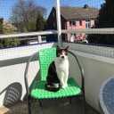 Cat Netting Balcony 10 * 33ft Pet Mesh Fence for Balcony Black Nylon Balcony Netting for Pets Anti-Fall Cat Net for Balcony and Windows
