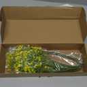 N&T NIETING Babys Breath Artificial Flowers Bulk, 10Pcs Fake Gypsophila Bouquet Flowers Real Touch Faux Babies Breath Arrangement for Wedding Floral Party Home Centerpieces Vase Decoration, Yellow