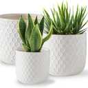 Docrin Plant Pots Indoor with Drainage: 6.4+5.3+4 Inch Ceramic Flower Pots for Plants - Set of 2 Modern Decorative Planters for House/Office/Gift - White Honeycomb