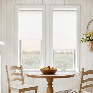 Birch Cream Cordless Roller Shades Light Filtering Blinds 24" W x 72" H
