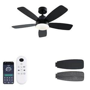 GJeg Ceiling Fans with Lights, 42 Inch Low Profile Ceiling Fan with Lights and Remote Control, LED Dimmable DC Reversible, 8 Speed, Noiseless, Modern Black Ceiling Fan for Bedroom, Indoor/ Outdoor Use