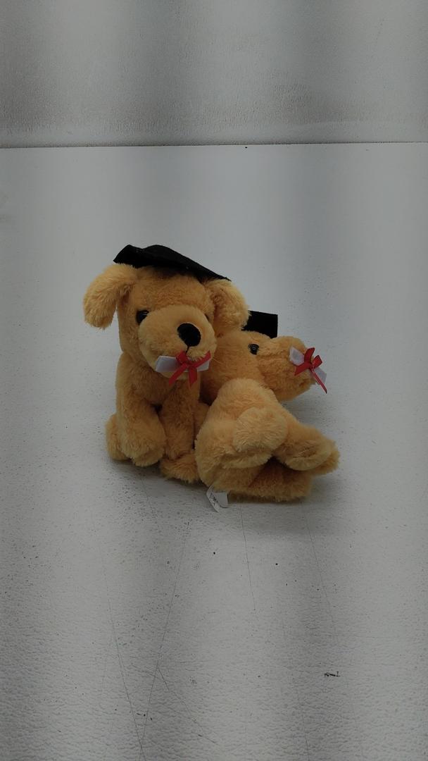 2 pk class of 2025 graduation dogs 10 in tall.