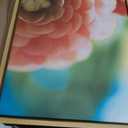 Kate and Laurel Sylvie Light Side Framed Canvas Wall Art by Alicia Bock; 18x24 Natural; Close-Up Flower Photography Art for Wall