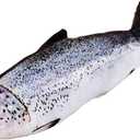 23" Fish Stuffed Animal Pillow Simulation Salmon Stuffed Plush Toy Gift for Kids