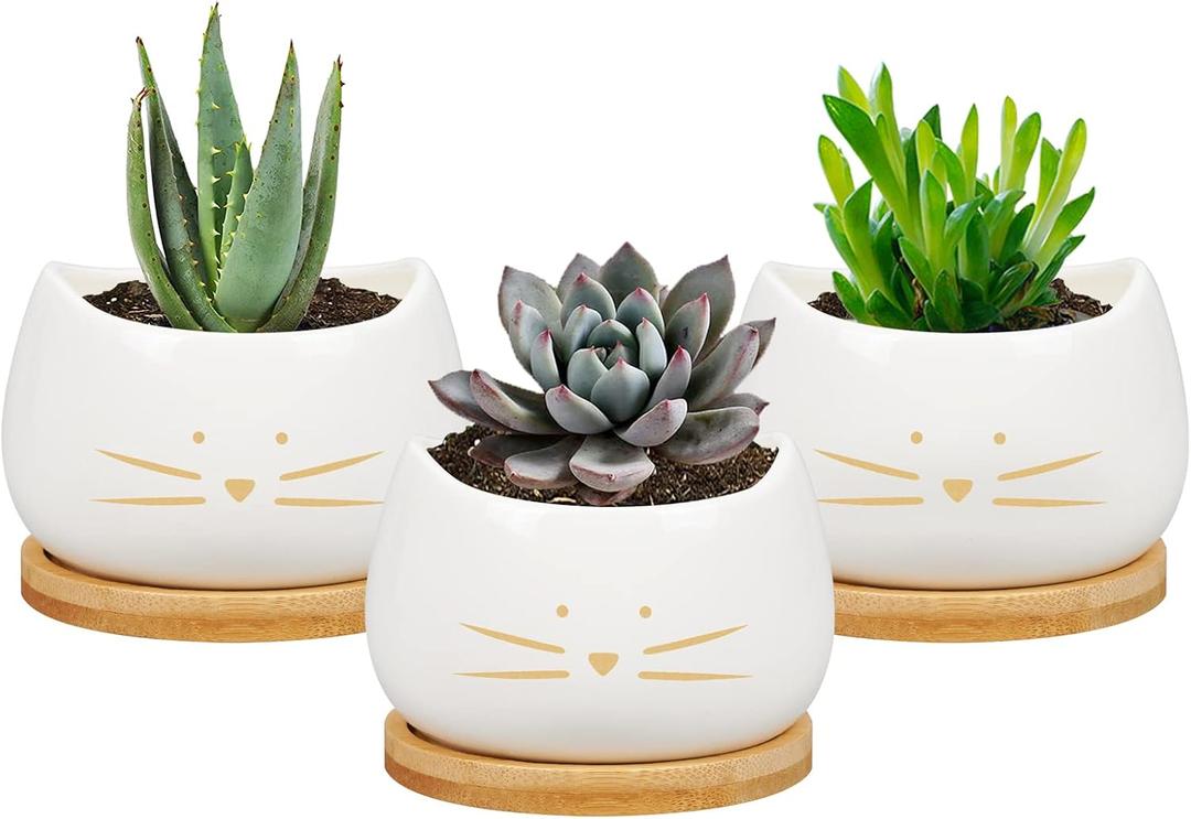 Koolkatkoo 3.2 Inch Cute Cat Ceramic Succulent Planter Pots with Removable Saucer Unique Cactus Planters Porcelain Decorative Flower Pot for Cat Lovers Set of 3 White