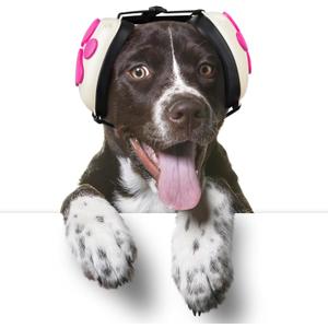 Noise Cancelling Headphones with Dog Paw Design, Calming Earmuffs for Thunder, Fireworks & Hunting (M, White)