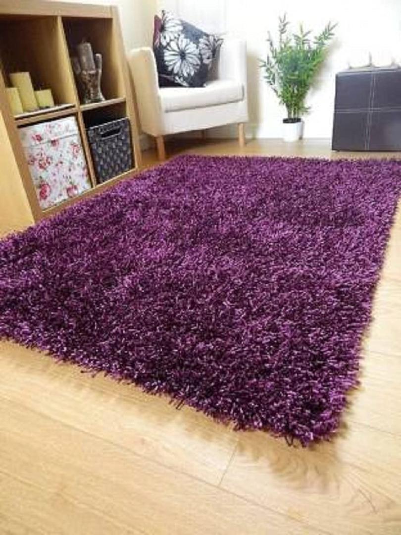 Soft Shaggy Carpet for Living Room/Bed Room, 24x70, Purple 