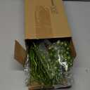 75 Pcs Christmas Glitter Branches 3 Styles Artificial Christmas Picks Berries Stems Pine Needles Floral Twig Spray for Xmas Tree Ornaments DIY Wreath Garland(Red, Green)