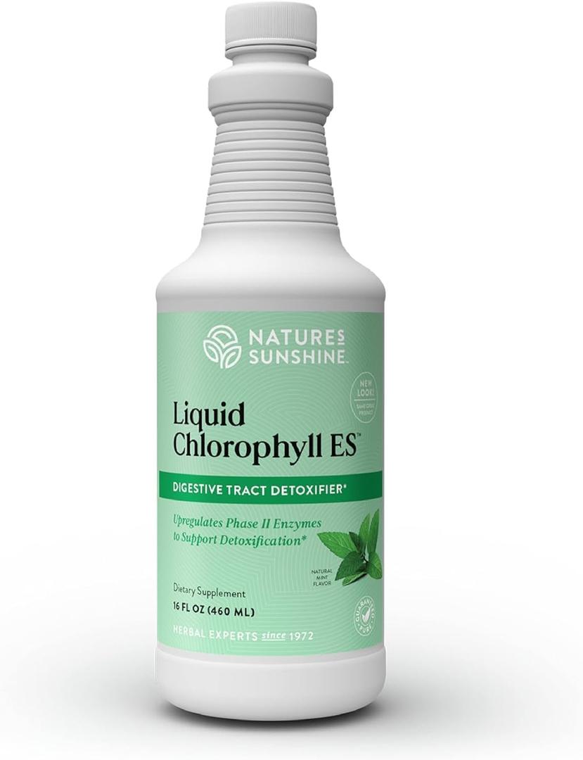 Nature's Sunshine Liquid Chlorophyll Extra Strength - Immunity Support, Detox & Cleanse, Chlorophyll Liquid Drops with Spearmint Oil, Natural Energy Boost, Internal Deodorant - 16 Fl Oz (BB: 08/2028)