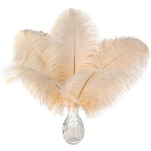 Ballinger Light Salmon Ostrich Feathers - 24 pcs 10-12 inch Feathers for vases Wedding Party Centerpieces and Home Decor