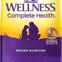 Wellness Complete Health Adult Dry Dog Food, Wholesome Grain Kibble, Natural, Chicken and Oatmeal Recipe, 30 lb Bag