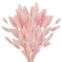 Phliofd 100Pcs Bunny Tails Dried Flowers, Natural Dried Bunny Tails Grass Dried Lagurus Ovatus Rabbit Tail Grass for Flowers Arrangements DIY Craft Wedding Party Home Table Decor (Pink)