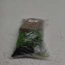 kathson Reptile Bridge for Terrarium, Bearded Dragon Wooden Bridges Gecko Hammock with Hanging Plants Lizard Lounger Bamboo Ladder Reptiles Tank Accessories Climbing for Chameleons Geckos Snakes (3Pcs) (Large)