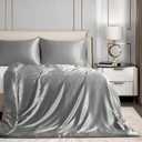 Homiest 48"x72" Weighted Blanket Cover, Light Grey Satin Weighted Blanket with 8 Ties, Removable Zippered Duvet Cover for Adults