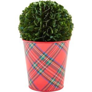 Mud Pie Boxwood Tartan Pot, Large, 5" x 5" Dia