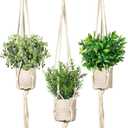 Artificial Plants 3 Pack Mini Fake Hanging with Macrame Plant Hangers Decorative Faux Greenery Decor for Shelves Wall Kitchen Farmhouse Bathroom Home Office (Eucalyptusgreen)