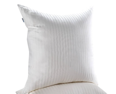 Kingnex Euro Size (28x28)  Pillow Inserts for European Throw Pillow Set of 2 Decorative Stuffer (28x28) 