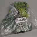 20 Pcs Eucalyptus Leaf Cake Decors Natural-Look Leaves Stem Cupcake Insert Toppers for Party Photo Props Depth Elegant Greenery Cake Decorations