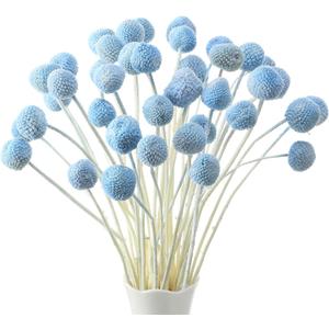 Janinka 40 Pcs Artificial Dried Craspedia Flowers Bulk Blue Fake Billy Button Balls Flowers Dried Floral Bouquet Arrangements for DIY Wedding Office Home Party Tall Vase Boho Decor