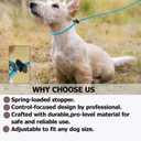 Slip Lead Dog Leash 5/16 Inch Nylon Rope No Pull Training Leash with Stopper, Slip Rope for Walking & Correction, 4FT/5FT/6FT Control Lead for Medium Large Dogs(Sky Blue, 4 FT)