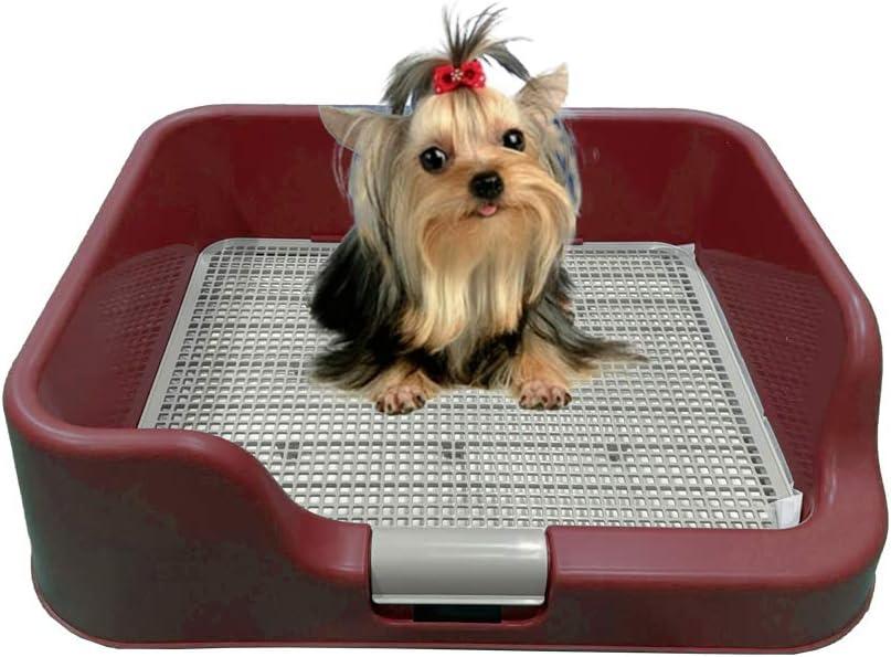 PS KOREA] Indoor Dog Potty Tray - with Protection Wall Every Side for No Leak, Spill, Accident - Keep Paws Dry and Floors Clean (Wine) 22.6 W x 17.77 L x 6.1 H inches