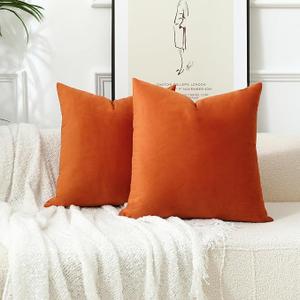 Stellhome Pack of 2, Fall Decorative Soft Velvet Throw Pillow Covers Square Soft Cushion Covers, Home Decor Decorations for Sofa Couch Bed Chair, 22 x 22 Inch/55 x 55 cm, Burnt Orange