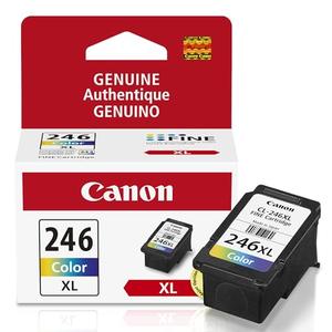 Canon CL-246 XL Genuine Color Ink Cartridge, Compatible with iP2820, MG2420/2924/2920/3020/2522/2525, MX492, TS3120/302/302a/202/202a/4520/3320