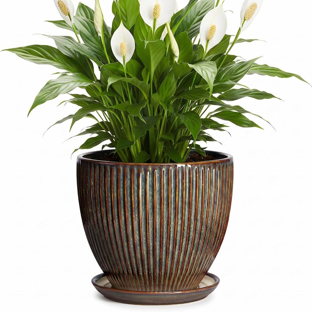 Ceramic Planter, 8 Inch Plant Pots for Indoor Plants, Round Planter with Drainage Hole and Saucer, Modern Decorative Flower Pots, House Office Decor, Gifts for Plant Lovers, Retro Brown