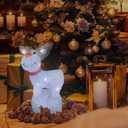 Anycosy Christmas Lighted Acrylic Deer Decoration,Rotating Battery Operated Lights for Indoor Use,Perfect for Tabletop, Windowsill, Mantel, and Bedroom