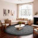 Ophanie Round Rug 6Ft Grey Circle Area Rugs, Fluffy Fuzzy Large Bedroom Carpet 6 foot, Plush Shag Solid indoor Floor Gray Living Room Christmas Circular Aesthetic Decor for Kids Teen Boys Baby,Nursery