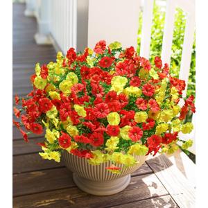 3 x HyeFlora Artificial Flowers for Outdoors Fake Plants Outside Decoration, 12 Bundles Silk Colorful Morning Glory with Eucalyptus UV Resistant Realistic Faux Flowers for Planter Porch Patio Yard Garden