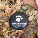 Pet Memorial Gifts for Loss Dogs and Cats - Dog Memorial Stone with Paw Print - Dog Bereavement Sympathy Gift Includes Pet Sympathy Cards - Forever in My Heart Plaque (Gold)