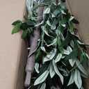 Alupssuc Olive Trees Artificial Indoor, 6FT Tall Faux Olive Tree with White Planter, Artificial Plants with Lifelike Fruits and Realistic Leaves for Modern Home Office Living Room Decor