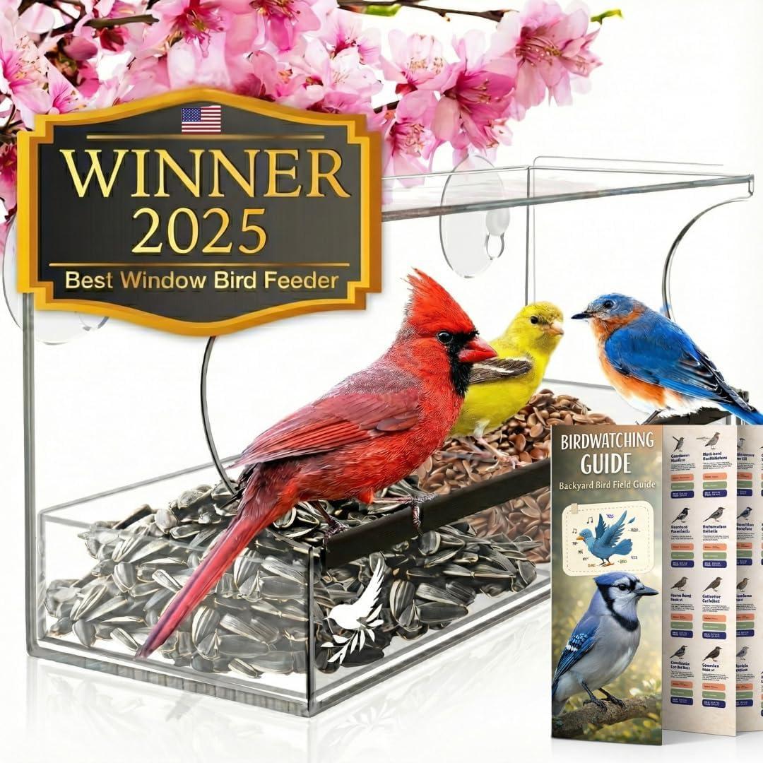 Window Bird Feeder by Natures Hangout - Award-Winning Clear Acrylic Bird Feeders for Outdoors, No Assembly, Strong Suction Cups, Bird Watching for Cats, Easy-to-Clean Birdhouse