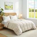 Joysoul Lightweight Down Comforter Queen Size, Goose Feathers Fiber Comforter for Hot Sleepers, Breathable & Ultra Soft Fluffy Duvet Insert, Thin Bedding for Summer,Cream (88" X 88")