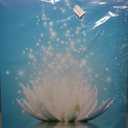 Canvas Prints Wall Art Lotus Flower Pictures Bathroom Decor Zen Painting Spa Photo Artwork Framed for Spiritual Meditation Yoga Room Ready to Hang24 x 36inch (24L" x 36W")
