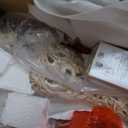 LuxSight Collection 28.5" Table Lamps Set of 2  Bedside Lamp with Fabric Shades  for Bedroom and Living Room with USB and Nightlight  Perfect for Nightstands and Bedrooms