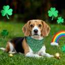 St. Patrick's Day Dog Bandana, Lucky Pet Bandana, Shamrock Irish Style Pet Triangle Scarf, Clover Pets Accessories, Holiday Triangle Dog Bandanas for Small Medium Dogs