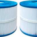 PBF40 Spa Filter Compatible with Bull Frog Spas and Bulk Savings, Wellspring 30 Coreless 10-00282, 40 Sq.Ft., Pack of 2 