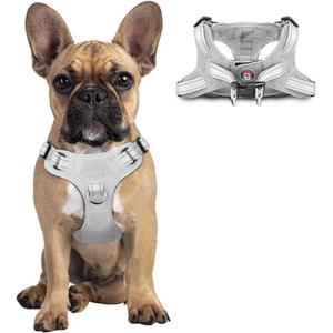 Dog Harness Step in Dog Vest Harness, Reflective Adjustable Puppy No Pull Harness Breathable Soft for Small and Medium Dogs Cats, Grey, S
