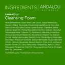 Andalou Naturals CannaCell Cleansing Foam, botanical, 5.5 Fl Oz